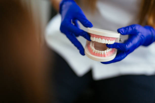 Best Traditional Braces  in Myrtle Grove, NC